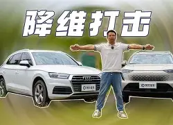 足球队助教