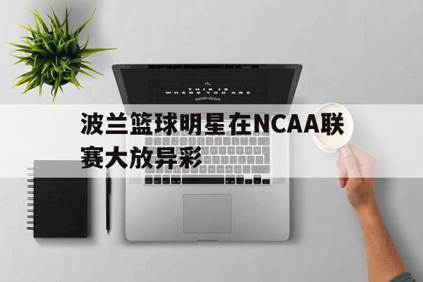 波兰男篮球星